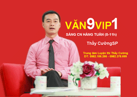 Văn 9 vip1